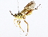  ( - BIOUG64410-G12)  @11 [ ] CreativeCommons - Attribution (2022) CBG Photography Group Centre for Biodiversity Genomics