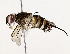  ( - BIOUG64410-H06)  @11 [ ] CreativeCommons - Attribution (2022) CBG Photography Group Centre for Biodiversity Genomics