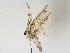  ( - BIOUG64411-A04)  @11 [ ] CreativeCommons - Attribution (2022) CBG Photography Group Centre for Biodiversity Genomics