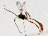  ( - BIOUG64411-D02)  @14 [ ] CreativeCommons - Attribution (2022) CBG Photography Group Centre for Biodiversity Genomics