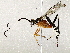  ( - BIOUG76506-H07)  @11 [ ] CreativeCommons - Attribution (2022) CBG Photography Group Centre for Biodiversity Genomics