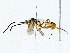  ( - BIOUG76507-A05)  @11 [ ] CreativeCommons - Attribution (2022) CBG Photography Group Centre for Biodiversity Genomics