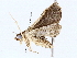  ( - BIOUG76508-C10)  @11 [ ] CreativeCommons - Attribution (2022) CBG Photography Group Centre for Biodiversity Genomics