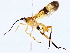  ( - BIOUG76508-E12)  @11 [ ] CreativeCommons - Attribution (2022) CBG Photography Group Centre for Biodiversity Genomics