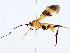  ( - BIOUG76508-F01)  @11 [ ] CreativeCommons - Attribution (2022) CBG Photography Group Centre for Biodiversity Genomics