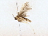  ( - BIOUG76508-H08)  @11 [ ] CreativeCommons - Attribution (2022) CBG Photography Group Centre for Biodiversity Genomics