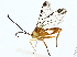  ( - BIOUG80163-D08)  @11 [ ] CreativeCommons - Attribution (2022) CBG Photography Group Centre for Biodiversity Genomics