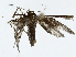  ( - BIOUG80163-F12)  @11 [ ] CreativeCommons - Attribution (2022) CBG Photography Group Centre for Biodiversity Genomics