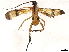  ( - BIOUG80163-G06)  @11 [ ] CreativeCommons - Attribution (2022) CBG Photography Group Centre for Biodiversity Genomics