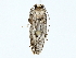  ( - BIOUG80164-F09)  @11 [ ] CreativeCommons - Attribution (2022) CBG Photography Group Centre for Biodiversity Genomics