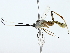  ( - BIOUG80180-G11)  @11 [ ] CreativeCommons - Attribution (2022) CBG Photography Group Centre for Biodiversity Genomics