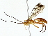  ( - BIOUG80180-H05)  @11 [ ] CreativeCommons - Attribution (2022) CBG Photography Group Centre for Biodiversity Genomics