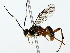 ( - BIOUG80180-H10)  @11 [ ] CreativeCommons - Attribution (2022) CBG Photography Group Centre for Biodiversity Genomics