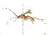  ( - BIOUG85253-E06)  @11 [ ] CreativeCommons - Attribution (2022) CBG Photography Group Centre for Biodiversity Genomics