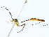  ( - BIOUG85253-F06)  @11 [ ] CreativeCommons - Attribution (2022) CBG Photography Group Centre for Biodiversity Genomics