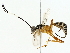 ( - BIOUG85254-C02)  @11 [ ] CreativeCommons - Attribution (2022) CBG Photography Group Centre for Biodiversity Genomics
