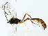  ( - BIOUG85259-F12)  @11 [ ] CreativeCommons - Attribution (2022) CBG Photography Group Centre for Biodiversity Genomics