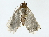  ( - BIOUG85259-H09)  @11 [ ] CreativeCommons - Attribution (2022) CBG Photography Group Centre for Biodiversity Genomics