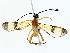  ( - BIOUG85260-E03)  @11 [ ] CreativeCommons - Attribution (2022) CBG Photography Group Centre for Biodiversity Genomics