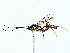  ( - BIOUG85465-B03)  @11 [ ] CreativeCommons - Attribution (2022) CBG Photography Group Centre for Biodiversity Genomics