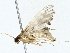  ( - BIOUG85501-E12)  @11 [ ] CreativeCommons - Attribution (2022) CBG Photography Group Centre for Biodiversity Genomics