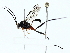  ( - BIOUG89925-B07)  @11 [ ] CreativeCommons - Attribution (2022) CBG Photography Group Centre for Biodiversity Genomics