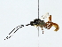  ( - BIOUG89925-E12)  @11 [ ] CreativeCommons - Attribution (2022) CBG Photography Group Centre for Biodiversity Genomics
