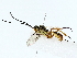  ( - BIOUG89925-F09)  @11 [ ] CreativeCommons - Attribution (2022) CBG Photography Group Centre for Biodiversity Genomics