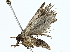  ( - BIOUG85467-G05)  @11 [ ] CreativeCommons - Attribution (2022) CBG Photography Group Centre for Biodiversity Genomics