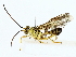  ( - BIOUG85508-D07)  @11 [ ] CreativeCommons - Attribution (2022) CBG Photography Group Centre for Biodiversity Genomics