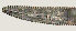  ( - NID-N1000)  @11 [ ] CreativeCommons - Attribution Non-Commercial (2017) Tom Powers University of Nebraska