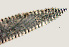  ( - NID-N1000)  @11 [ ] CreativeCommons - Attribution Non-Commercial (2017) Tom Powers University of Nebraska