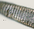  ( - NID-N1000)  @11 [ ] CreativeCommons - Attribution Non-Commercial (2017) Tom Powers University of Nebraska