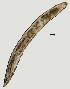  ( - NID-N1027)  @11 [ ] CreativeCommons - Attribution Non-Commercial (2017) Tom Powers University of Nebraska