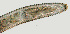  ( - NID-N1027)  @11 [ ] CreativeCommons - Attribution Non-Commercial (2017) Tom Powers University of Nebraska