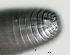  ( - NID-N1050)  @11 [ ] CreativeCommons - Attribution Non-Commercial (2017) Tom Powers University of Nebraska