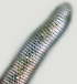  ( - NID-N1050)  @11 [ ] CreativeCommons - Attribution Non-Commercial (2017) Tom Powers University of Nebraska