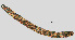  ( - NID-N1067)  @11 [ ] CreativeCommons - Attribution Non-Commercial (2017) Tom Powers University of Nebraska