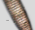  ( - NID-N1068)  @11 [ ] CreativeCommons - Attribution Non-Commercial (2017) Tom Powers University of Nebraska