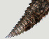  ( - NID-N1117)  @11 [ ] CreativeCommons - Attribution Non-Commercial (2017) Tom Powers University of Nebraska