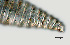  ( - NID-N1149)  @11 [ ] CreativeCommons - Attribution Non-Commercial (2016) Tom Powers University of Nebraska