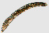  ( - NID-N1153)  @11 [ ] CreativeCommons - Attribution Non-Commercial (2017) Tom Powers University of Nebraska