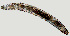  ( - NID-N1157)  @11 [ ] CreativeCommons - Attribution Non-Commercial (2016) Tom Powers University of Nebraska