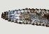  ( - NID-N1157)  @11 [ ] CreativeCommons - Attribution Non-Commercial (2016) Tom Powers University of Nebraska