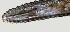  ( - NID-N1159)  @11 [ ] CreativeCommons - Attribution Non-Commercial (2016) Tom Powers University of Nebraska