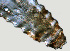  ( - NID-N1159)  @11 [ ] CreativeCommons - Attribution Non-Commercial (2016) Tom Powers University of Nebraska