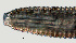  ( - NID-N1162)  @11 [ ] CreativeCommons - Attribution Non-Commercial (2017) Tom Powers University of Nebraska