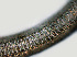  ( - NID-N1162)  @11 [ ] CreativeCommons - Attribution Non-Commercial (2017) Tom Powers University of Nebraska