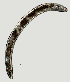  ( - NID-N1172)  @11 [ ] CreativeCommons - Attribution Non-Commercial (2017) Tom Powers University of Nebraska