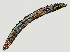  ( - NID-N1205)  @11 [ ] CreativeCommons - Attribution Non-Commercial (2016) Tom Powers University of Nebraska